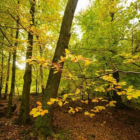 Peaceful * Rochefort