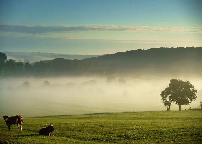 Peaceful Semesterbostad Rochefort